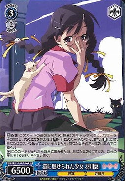 Tsubasa Hanekawa, Cat-Enchanted Girl BM/S15-076 RR