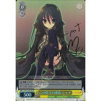 Shana, Development of the Town SS/W14-001SP SP Foil & Signed