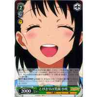 Kosaki, Exceptional Smile NK/W30-031 R