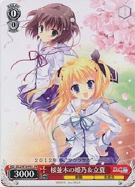 Himeno & Ricca, Amongst Cherry Blossoms / 桜並木の姫乃&立夏 DC3/W18-P01 PR