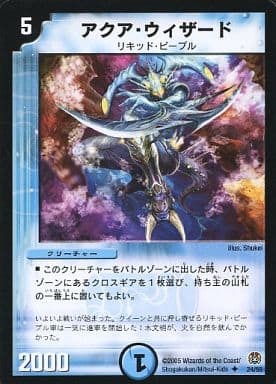 Aqua Wizard DM-16 24/55 U