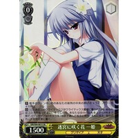 Kazuki, Flower Blooming in the Labyrinth GRI/S84-001S SR Foil