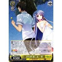 Yuuji & Kazuki, Distorted Bond GRI/S84-009 R