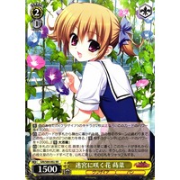 Makina, Flower Blooming in the Labyrinth GRI/S84-002 RR