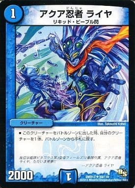 Raija, Aqua Ninja DMR-13 50/110 UC