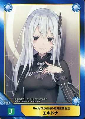 Animate Book Trading Card - Re:ZERO -Starting Life in Another World- - Echidna